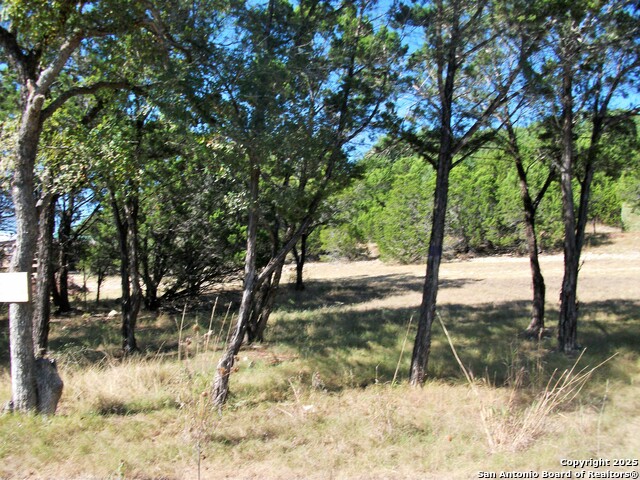 Details for 8151 Rebecca Creek, Spring Branch, TX 78070
