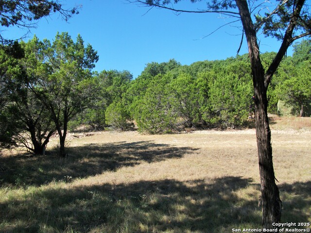 Image 3 of 7 For 8151 Rebecca Creek