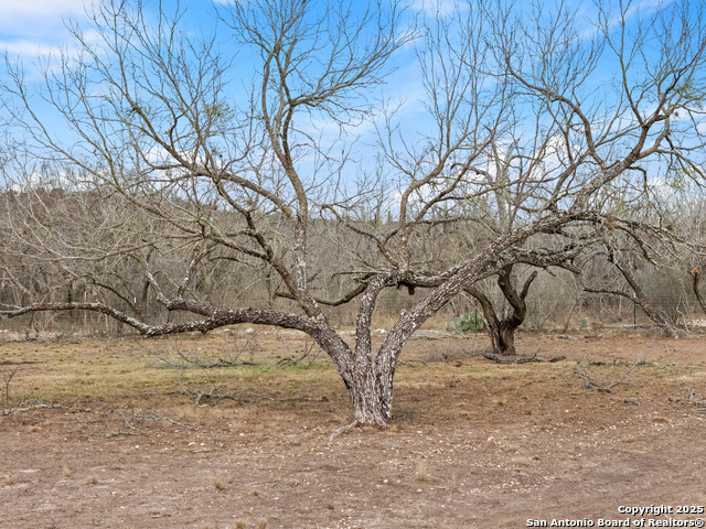 Listing photo id 2 for 1 Private Road 2430
