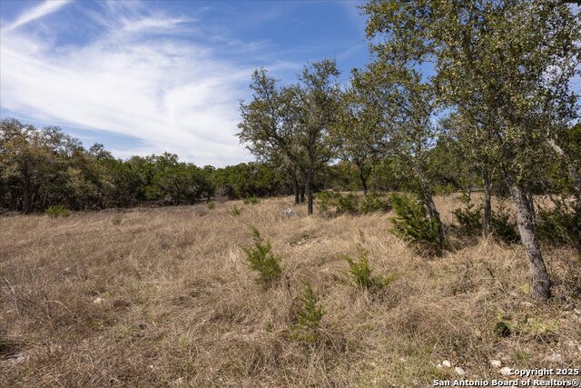 Image 10 of 33 For Lot 39 Vaquero Pass