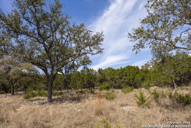 Image 11 of 33 For Lot 39 Vaquero Pass