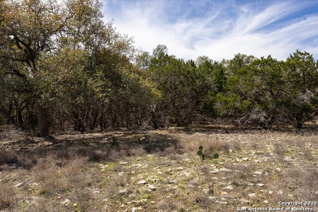 Image 19 of 33 For Lot 39 Vaquero Pass