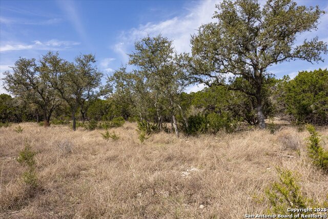 Image 9 of 33 For Lot 39 Vaquero Pass