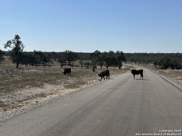 Image 6 of 7 For Lot 70 Fallow Dr