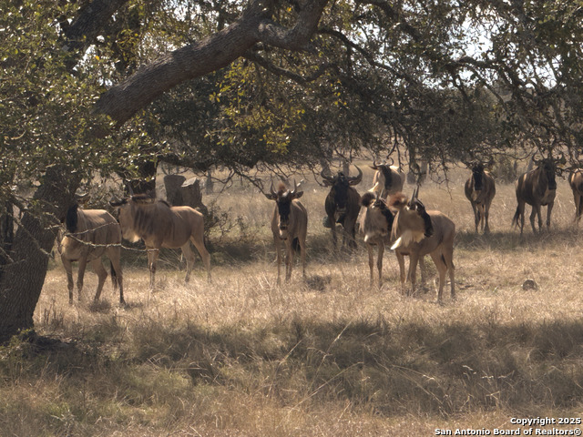 Image 7 of 7 For Lot 70 Fallow Dr