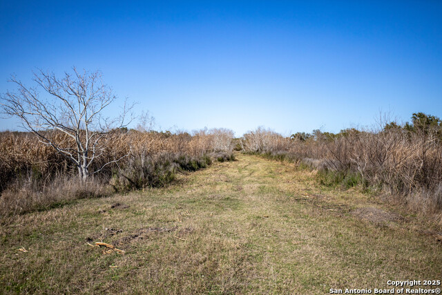 Listing photo id 20 for 6498 Hwy 35 N