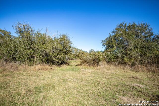 Listing photo id 27 for 6498 Hwy 35 N