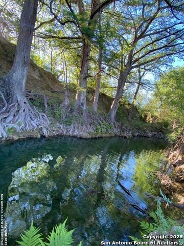 Details for 82 Private Rd 3800  Fm 187 S, Utopia, TX 78884
