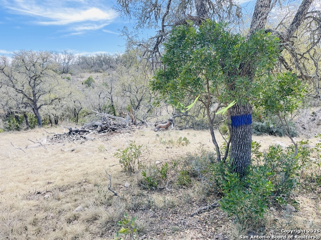 Listing photo id 7 for 58 Sd 43010