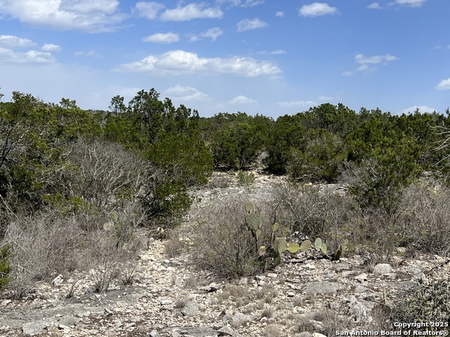 Image 20 of 35 For Lot 41-l & 42-l New Leona Ranch