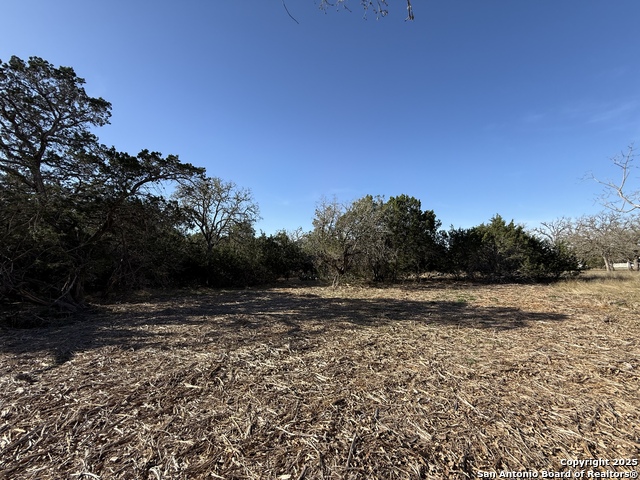 Listing photo id 2 for Lot 4 North Star