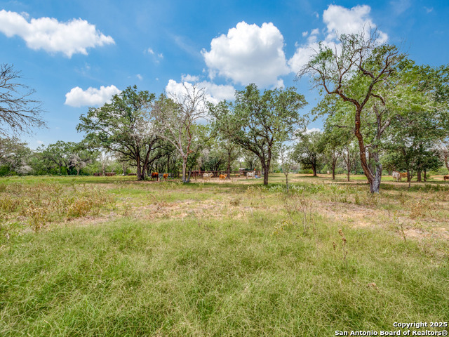 Listing photo id 8 for 12505 Fm 476