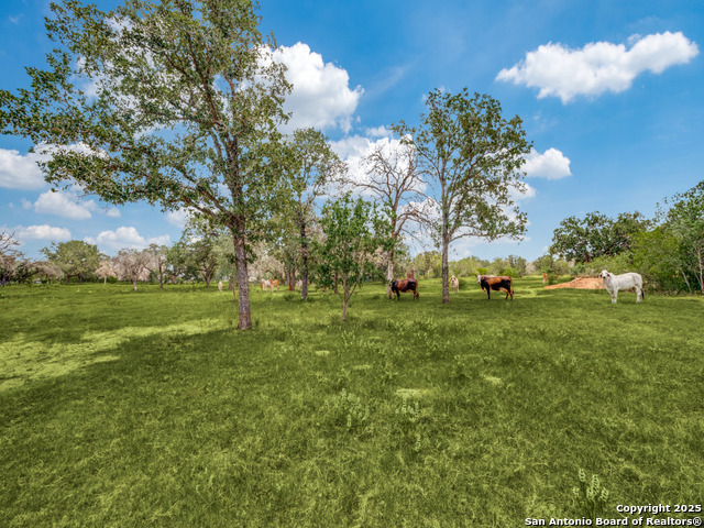 Listing photo id 9 for 12505 Fm 476