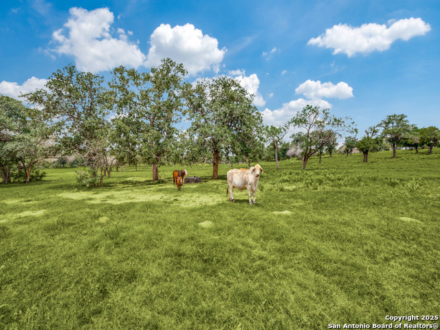 Listing photo id 10 for 12505 Fm 476