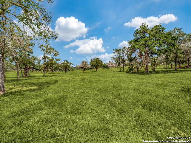 Listing photo id 12 for 12505 Fm 476