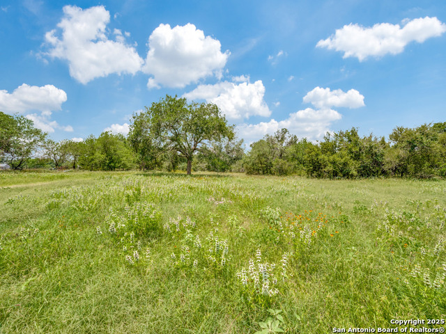 Listing photo id 4 for 12505 Fm 476