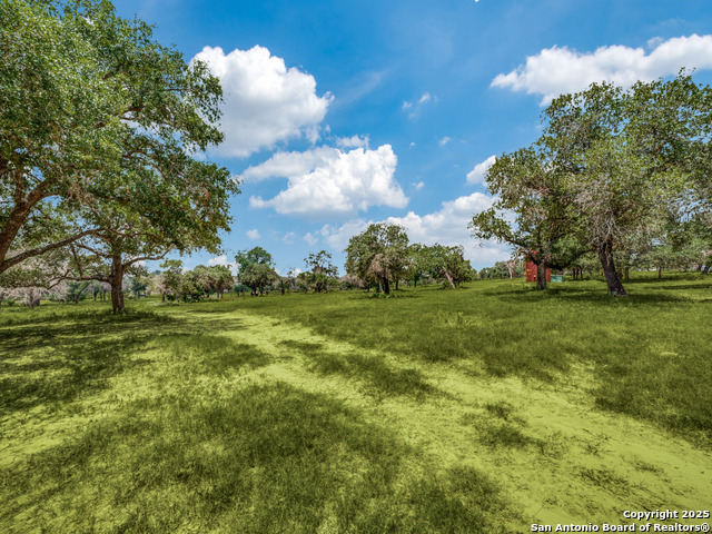 Listing photo id 5 for 12505 Fm 476