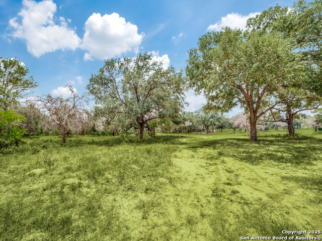 Listing photo id 7 for 12505 Fm 476