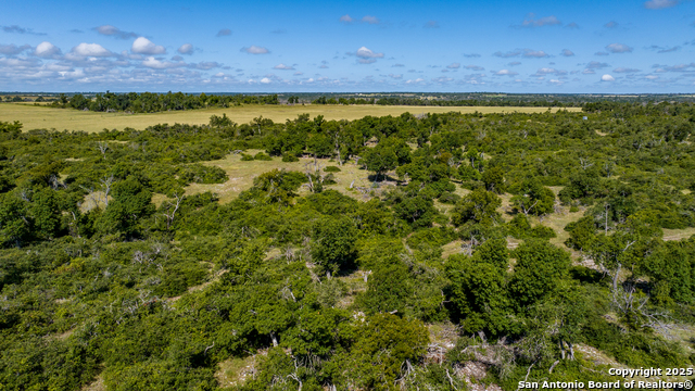 Details for 875 Gypsum Mine, Fredericksburg, TX 78624
