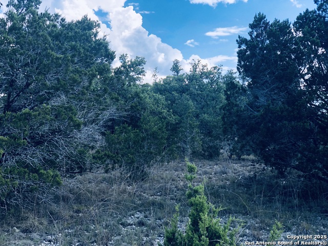 Listing photo id 10 for 1020 Cliff Circle