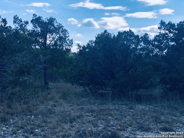 Listing photo id 11 for 1020 Cliff Circle