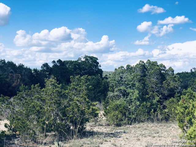 Listing photo id 4 for 1020 Cliff Circle