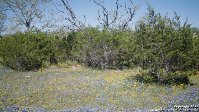 Image 10 of 36 For 00 Fm 479  