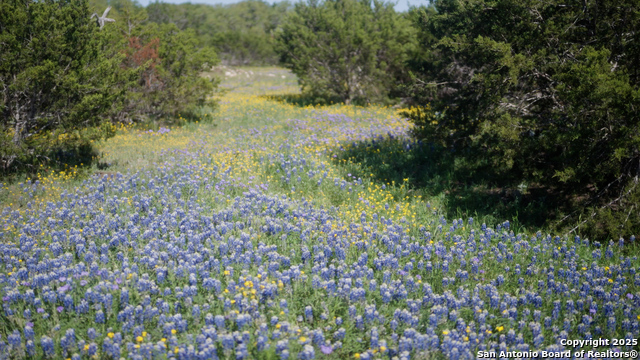 Image 11 of 36 For 00 Fm 479  