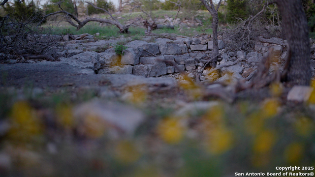Image 13 of 36 For 00 Fm 479  