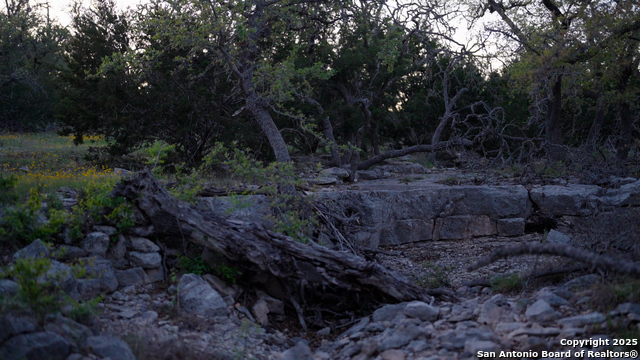 Image 14 of 36 For 00 Fm 479  