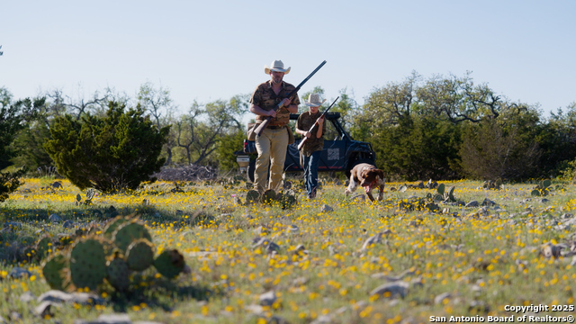 Image 15 of 36 For 00 Fm 479  
