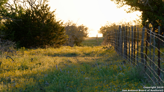 Image 18 of 36 For 00 Fm 479  
