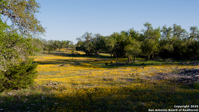 Image 19 of 36 For 00 Fm 479  
