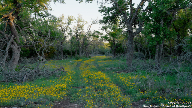 Image 23 of 36 For 00 Fm 479  