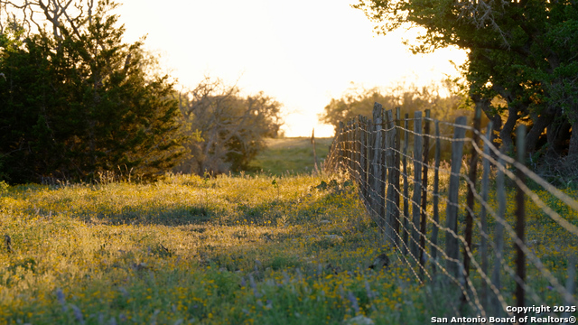 Image 24 of 36 For 00 Fm 479  