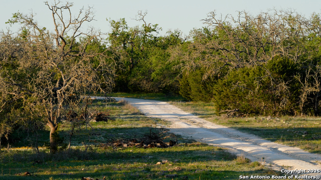 Image 28 of 36 For 00 Fm 479  