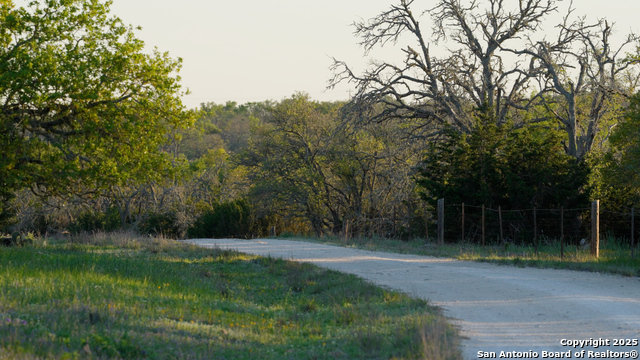 Image 29 of 36 For 00 Fm 479  