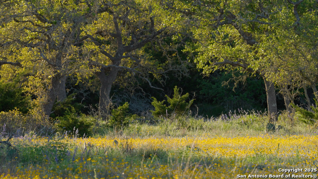 Image 5 of 36 For 00 Fm 479  