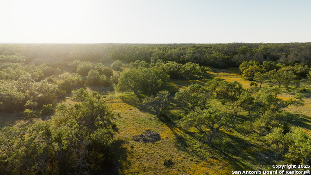 Image 8 of 36 For 00 Fm 479  