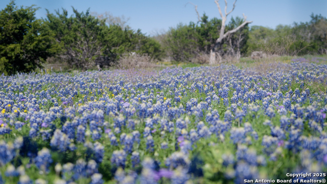 Image 9 of 36 For 00 Fm 479  