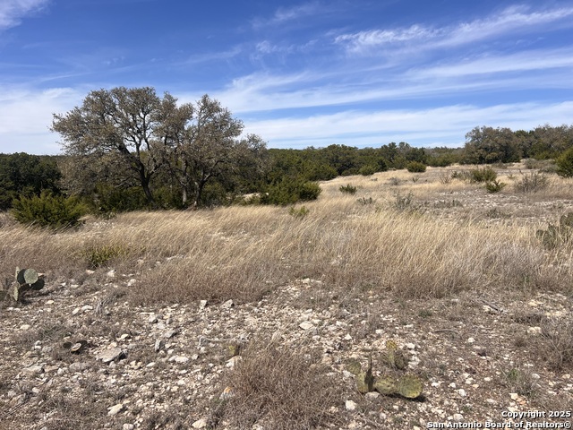 Listing photo id 8 for Lot 150 Cattlemans Crossing