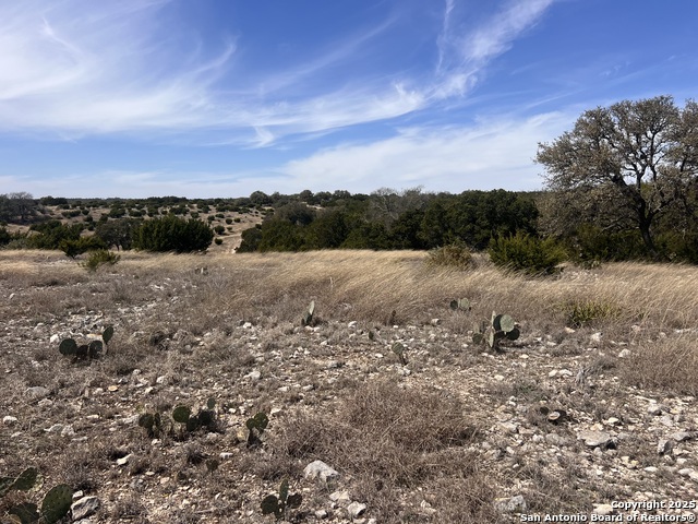 Listing photo id 9 for Lot 150 Cattlemans Crossing