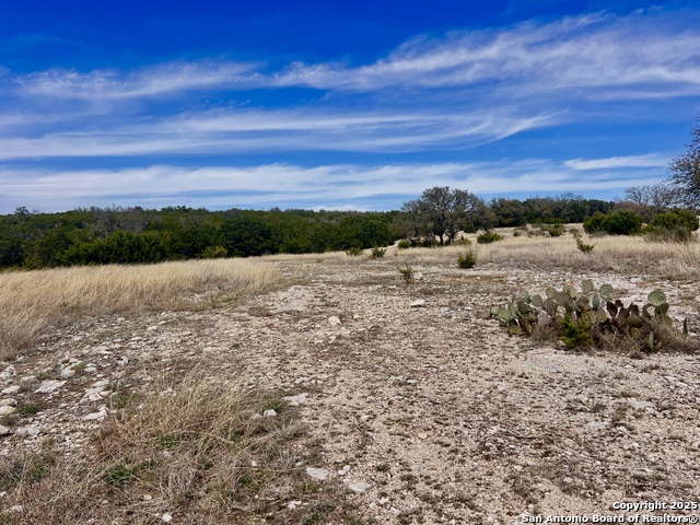 Listing photo id 2 for Lot 150 Cattlemans Crossing