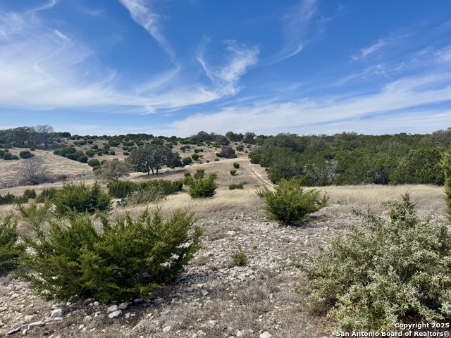 Listing photo id 3 for Lot 150 Cattlemans Crossing