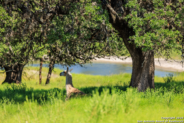 Image 25 of 35 For 2250 Otte Road