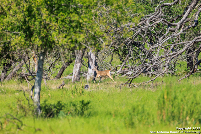 Image 29 of 35 For 2250 Otte Road