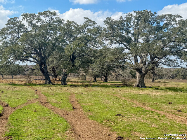 Details for 3113 Hannessee Rd, Yoakum, TX 77995