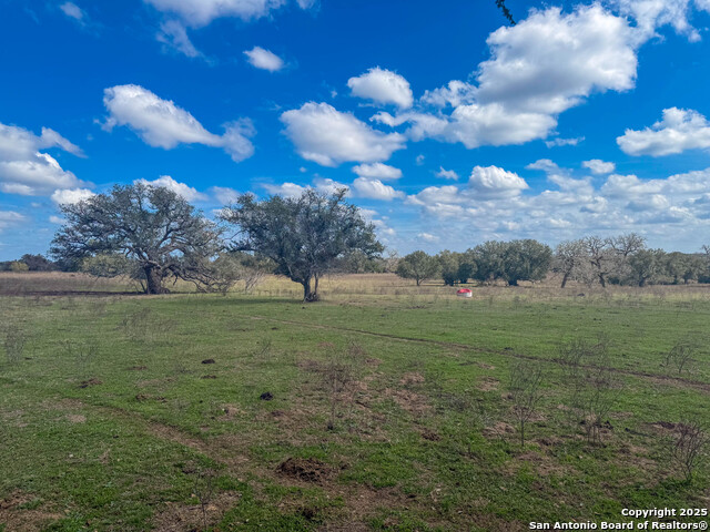 Listing photo id 9 for 3113 Hannessee Rd