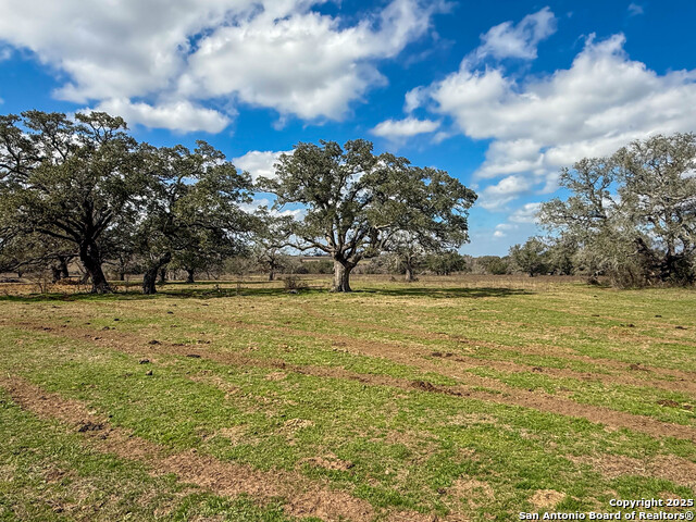 Listing photo id 10 for 3113 Hannessee Rd