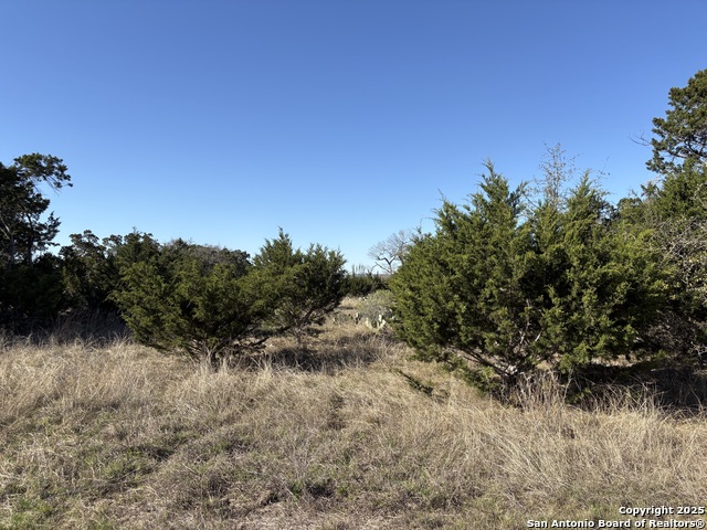 Image 11 of 14 For Lot 209 Palomino Springs